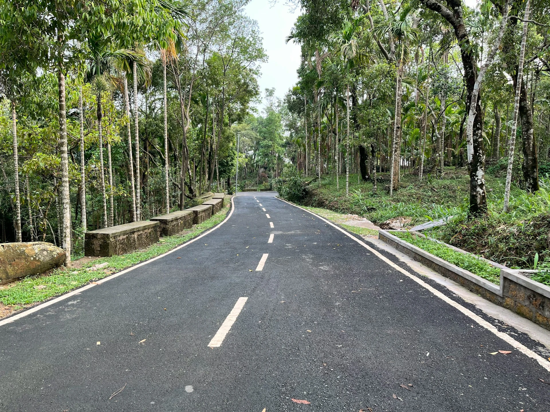 Mawlynnong village Meghalaya