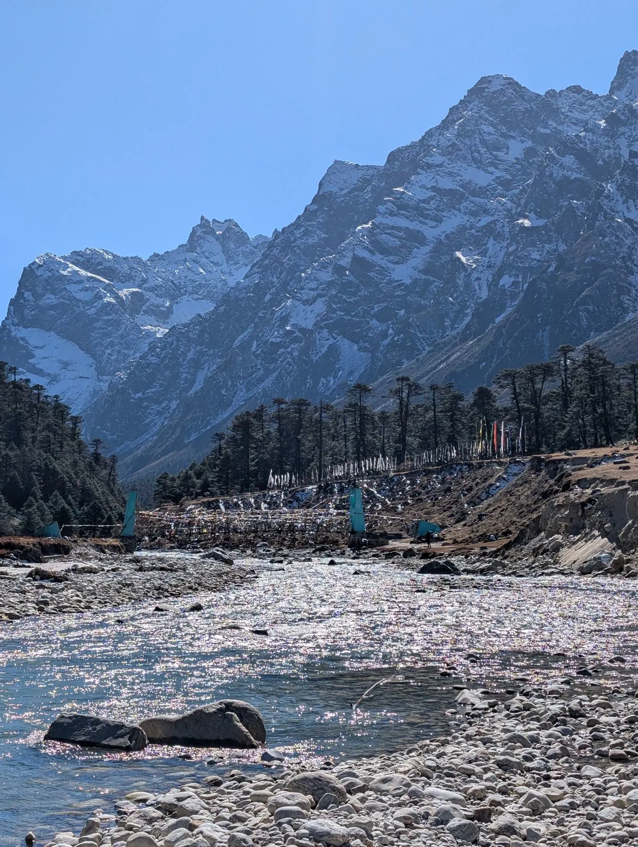 Yumthang Valley Sikkim