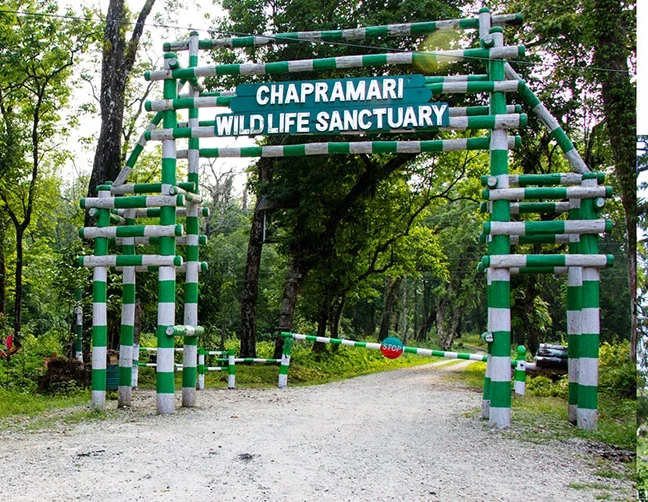 Chapramari Wildlife Sanctuary Dooars