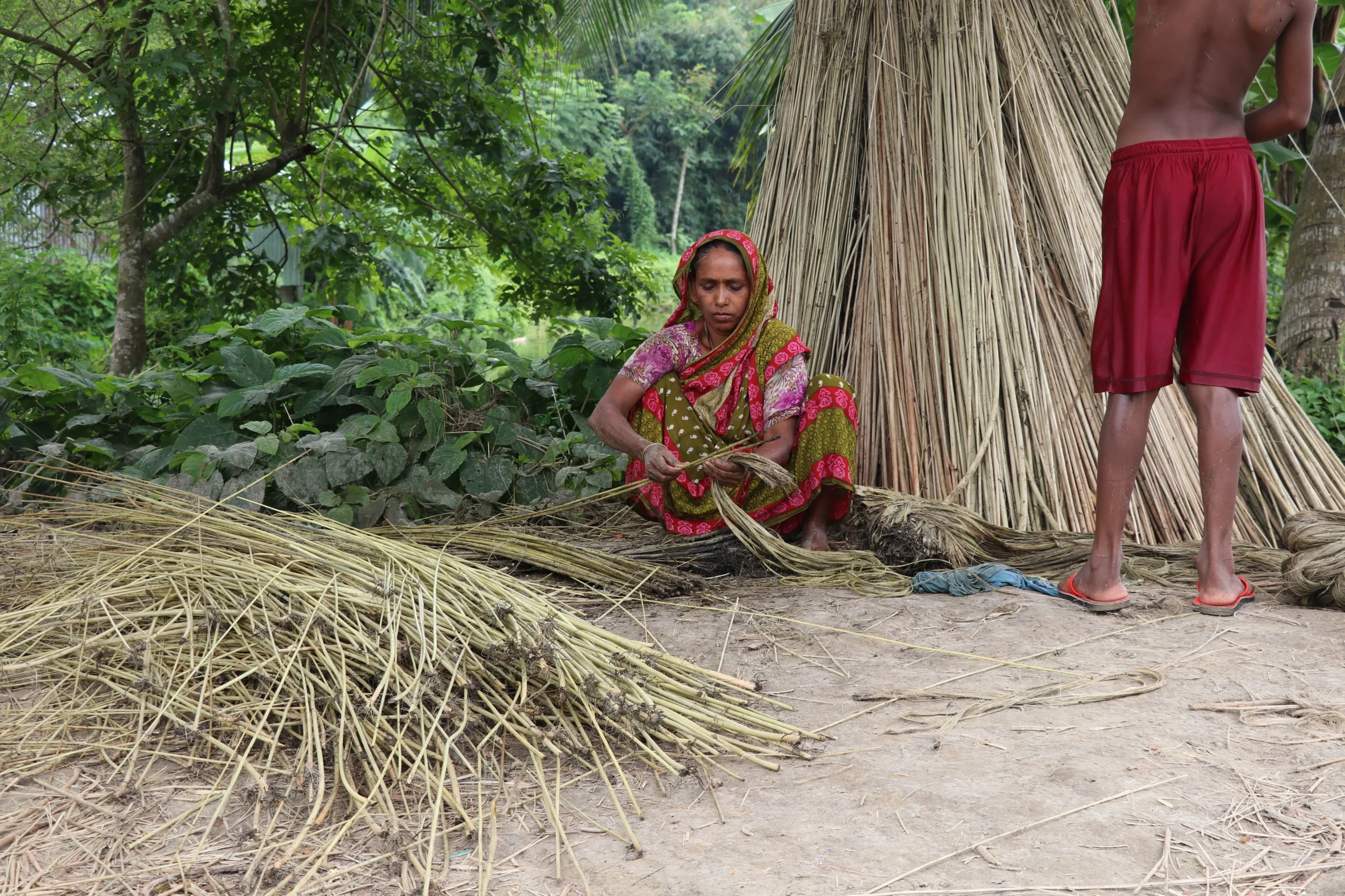 Village life and islands near Sundarban